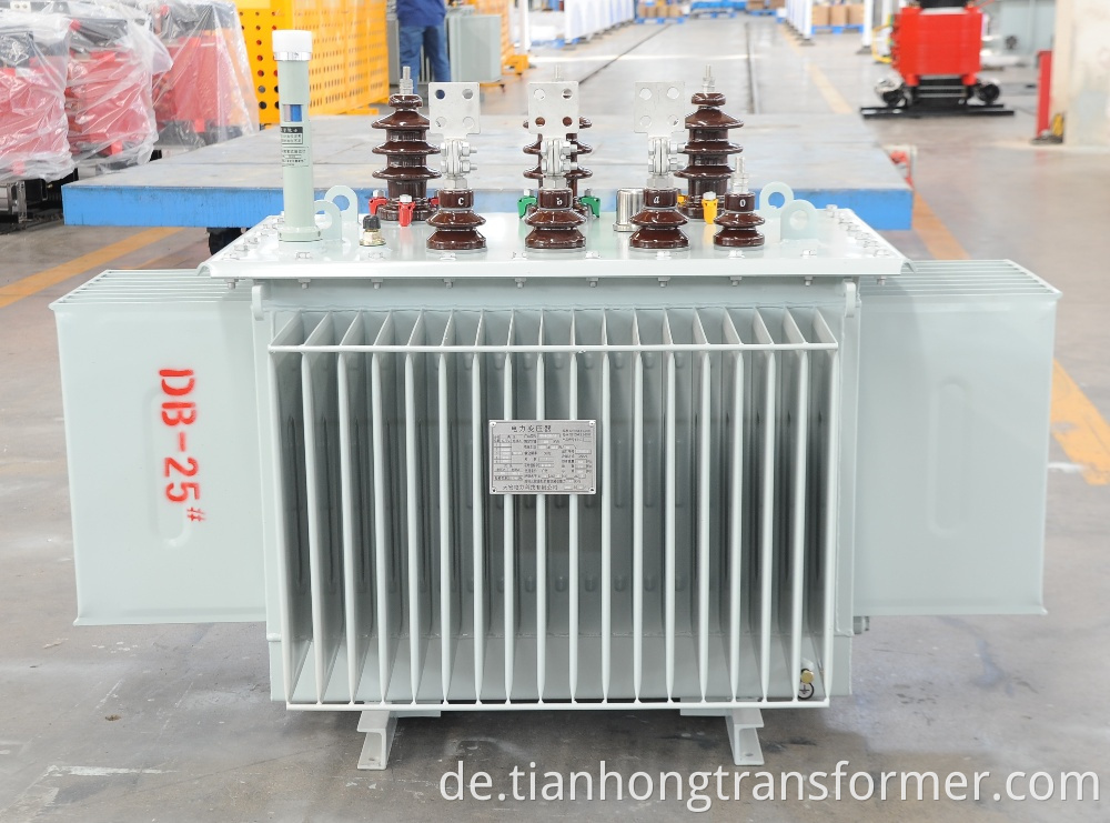 800kVA/1000kVA 10 KV Oil Immersed Transformer